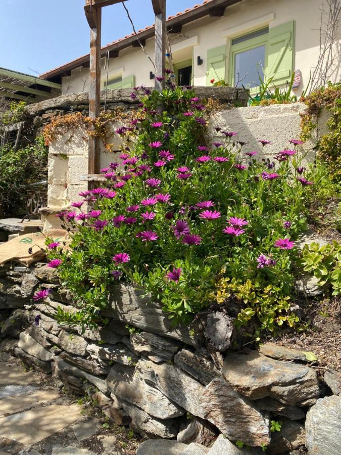 Walnut Tree Farm Villa Agia Anastasia Bagian luar foto